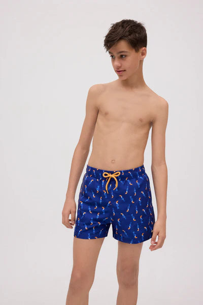 90282 - BOXER MARE CON TUCANO