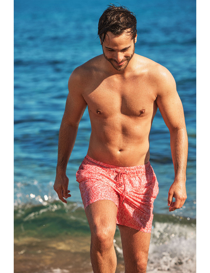 H40634 - BOXER MARE CORALLO