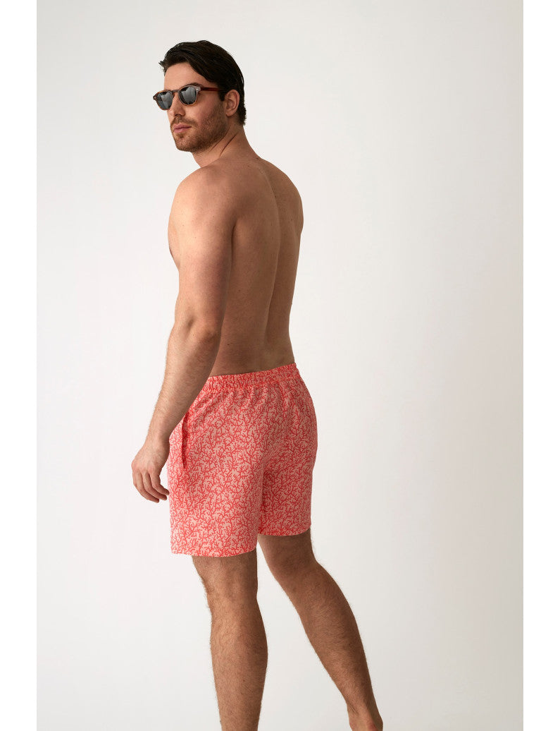 H40634 - BOXER MARE CORALLO