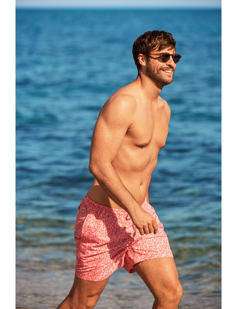 H40634 - BOXER MARE CORALLO