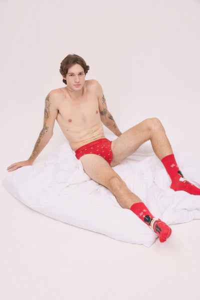 20432 - CONFEZIONE DI CALZINI E SLIP NATALIZI