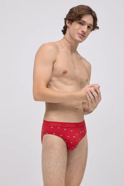 20432 - CONFEZIONE DI CALZINI E SLIP NATALIZI