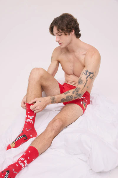 20433 - CONFEZIONE DI BOXER E CALZINI NATALIZI