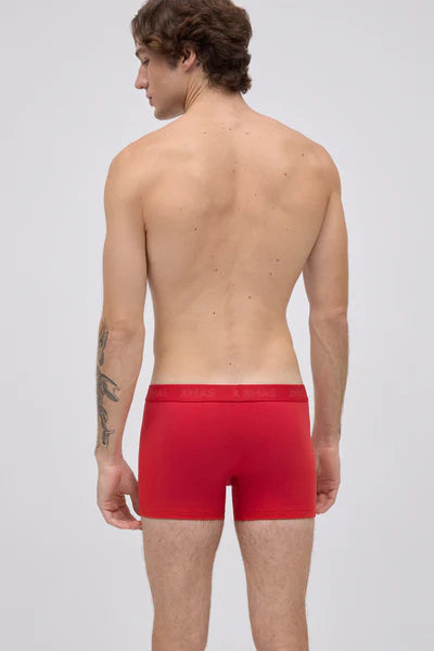 20433 - CONFEZIONE DI BOXER E CALZINI NATALIZI