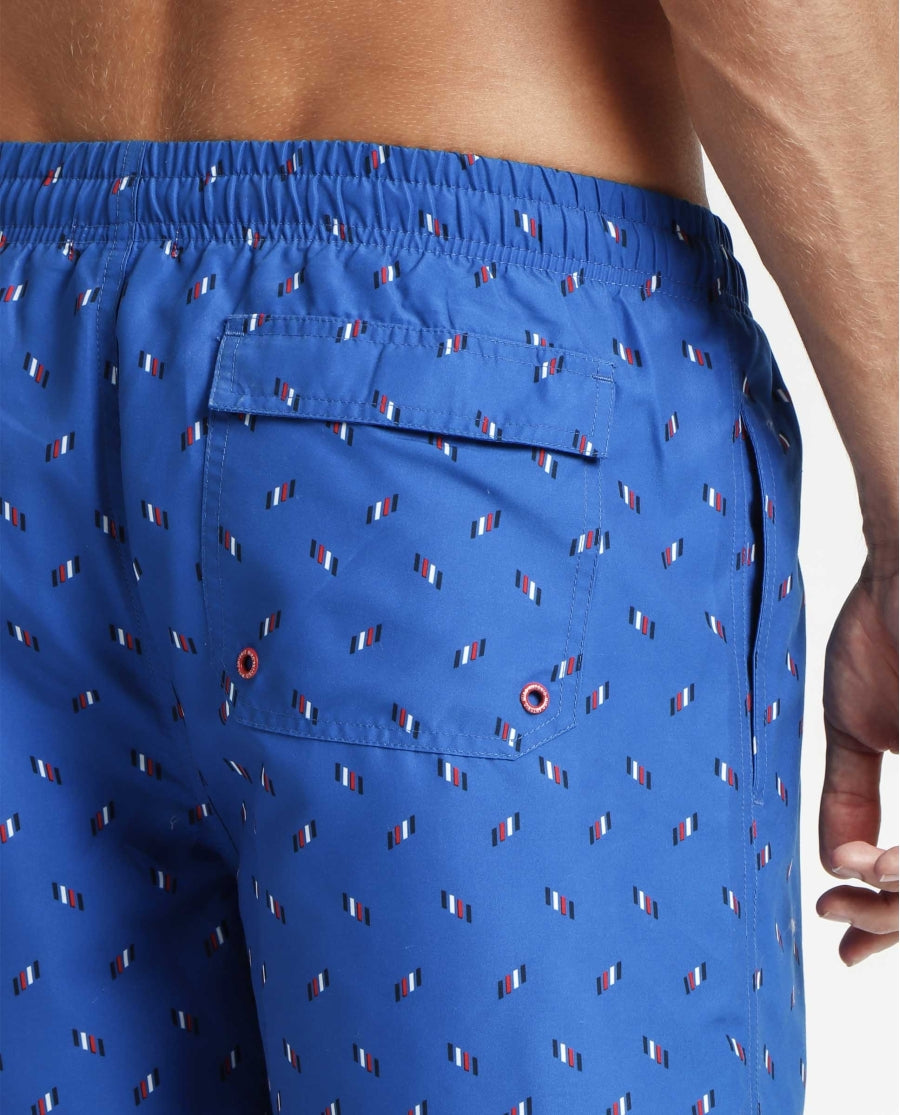 16270 - BOXER MARE CON VELA