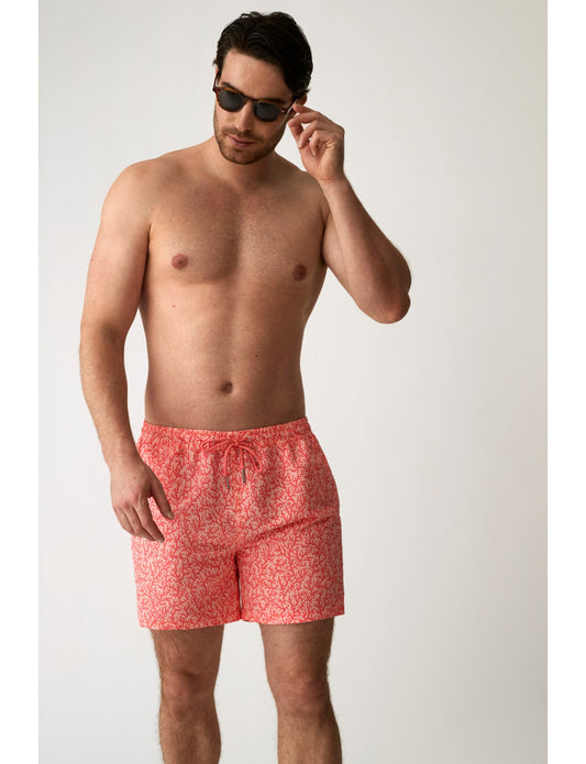 H40634 - BOXER MARE CORALLO